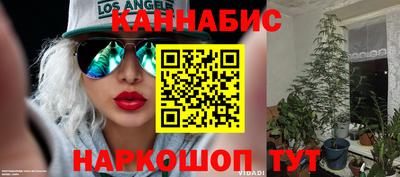 спиды Будённовск