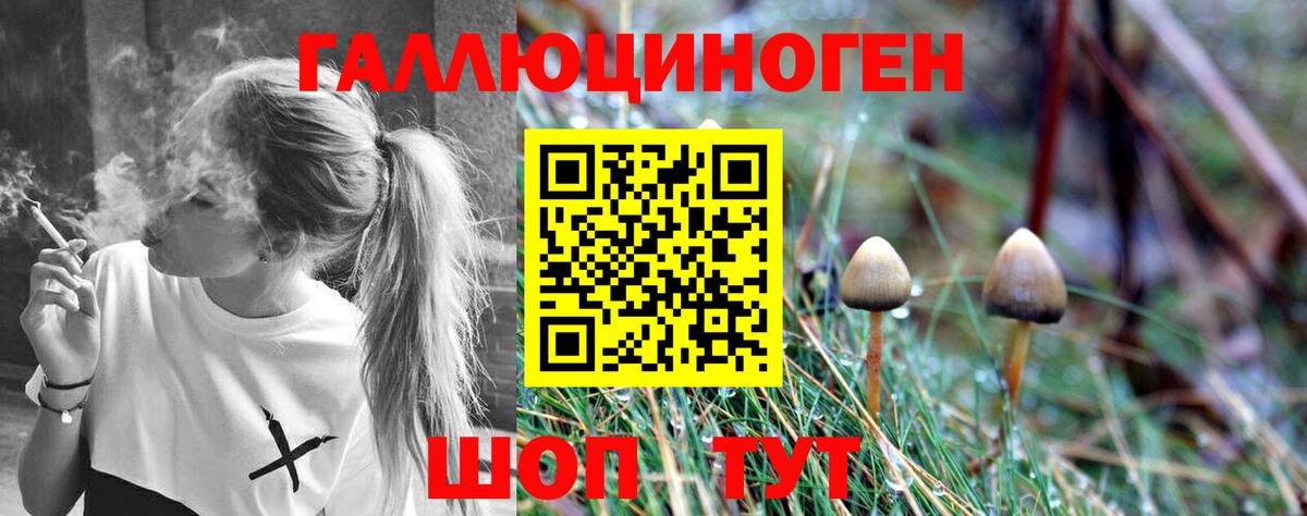 Псилоцибиновые грибы Cubensis Ялуторовск